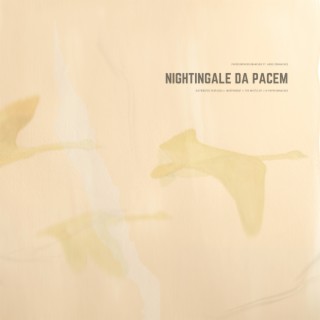 Nightingale Da Pacem