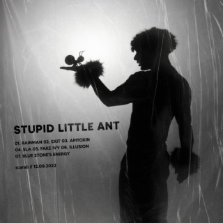 stupid little ant