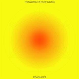 Transmutation Guide