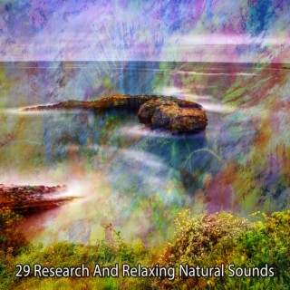 29 Recherche et relaxation des sons naturels