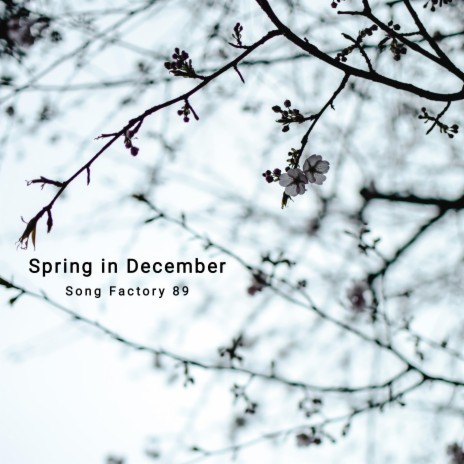 Spring In December | Boomplay Music