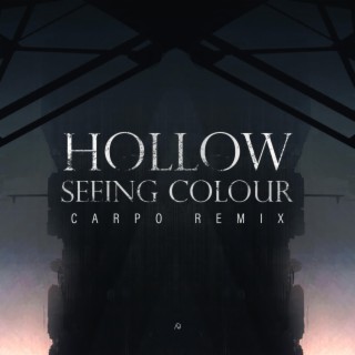 Seeing Colour (Carpö Remix)