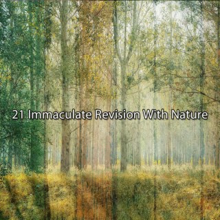 21 Révision immaculée avec la nature
