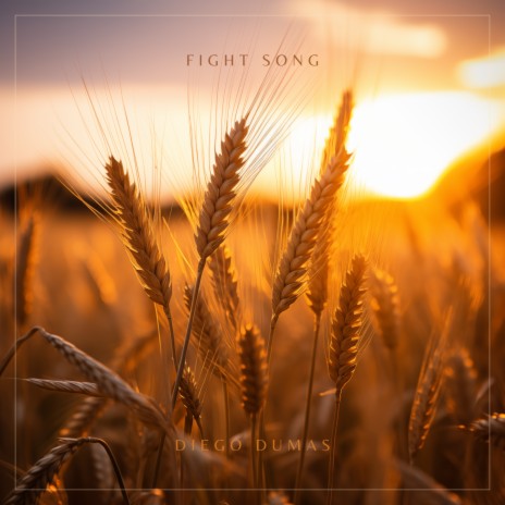 Fight Song | Boomplay Music