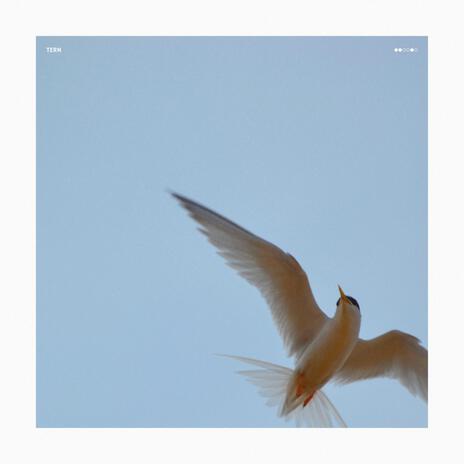 Tern (Instrumental) | Boomplay Music