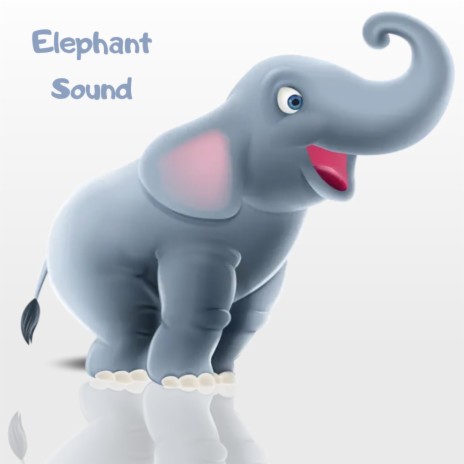 Elephant sound | Boomplay Music