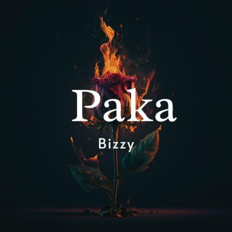 Paka | Boomplay Music