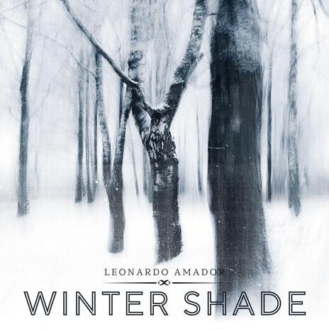 Winter Shade | Boomplay Music