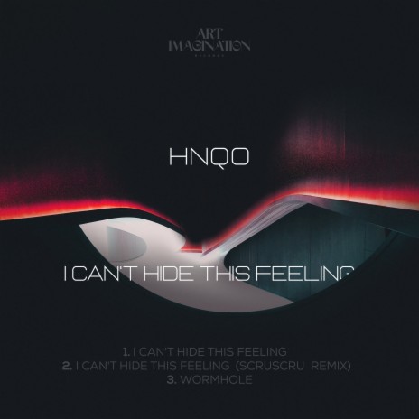 I Can't Hide This Feeling (Original Mix)