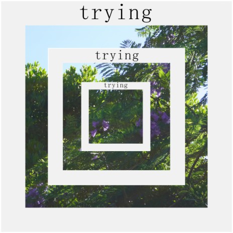 trying | Boomplay Music