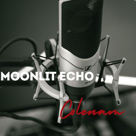 Moonlit Echo | Boomplay Music