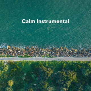 Calm Instrumental