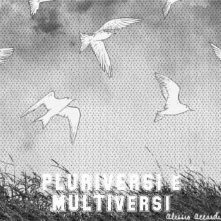 Pluriversi & Multiversi