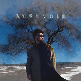 Aurevoir lyrics | Boomplay Music