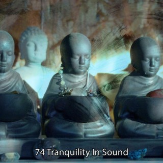 74 Tranquillité dans le son