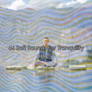 46 Des sons doux pour la tranquillité