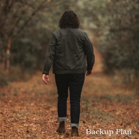 Backup Plan | Boomplay Music