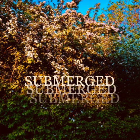 Submerged | Boomplay Music