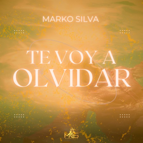 Te Voy a Olvidar | Boomplay Music