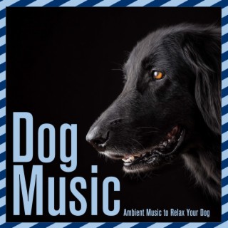 Dog Music: Ambient Music to Relax Your Dog