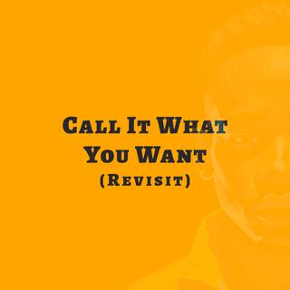 Call It What You Want (Revisit) (Radio Edit)