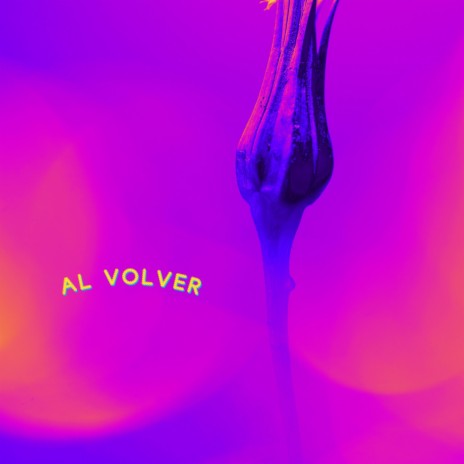 Al volver | Boomplay Music