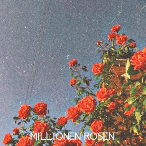 Millionen Rosen | Boomplay Music