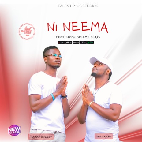 NI NEEMA ft. Dan Zawadi | Boomplay Music