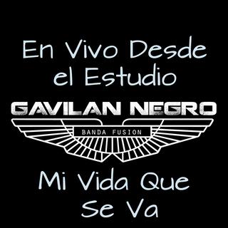 Mi Vida Que Se Va (En vivo)