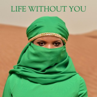 Life Without You lyrics | Boomplay Music