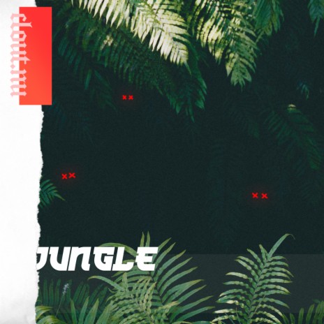 Jungle | Boomplay Music