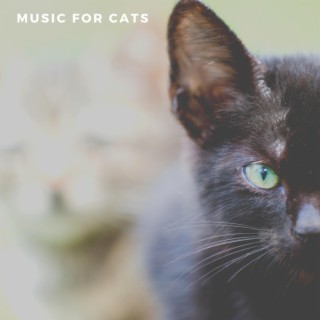 Comfort Music For Cats, Vol. 2