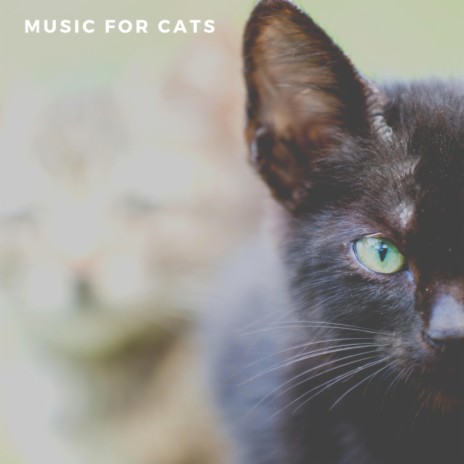 Calming Cat Music