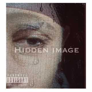 Hidden Image