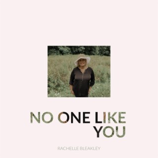 No One Like You lyrics | Boomplay Music