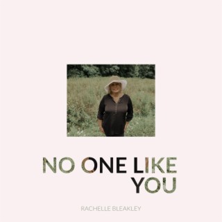 No One Like You