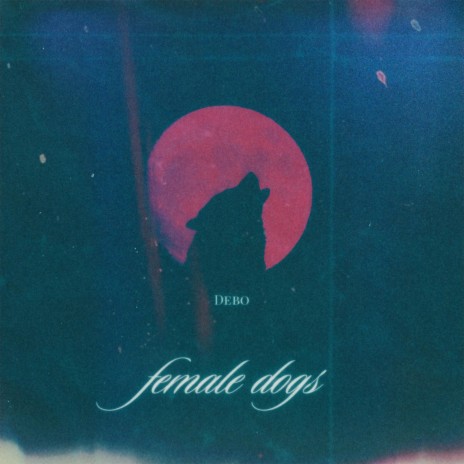 female dogs | Boomplay Music