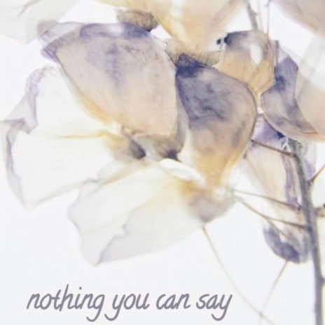 Nothing You Can Say | Boomplay Music