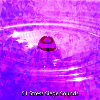 51 Sons de siège de stress