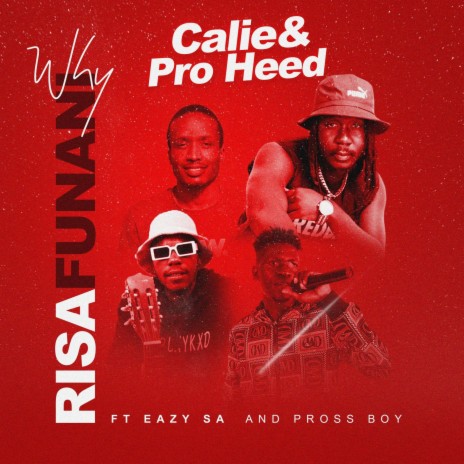 Why Risafunani ft. Calie, Eazy SA & Pross Boy 🅴 | Boomplay Music