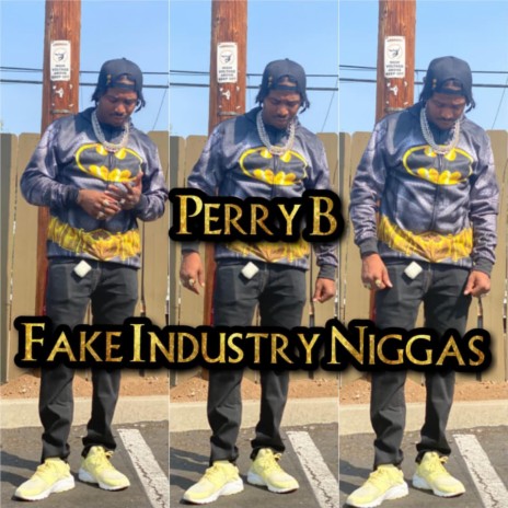 Fake Industry Niggas | Boomplay Music