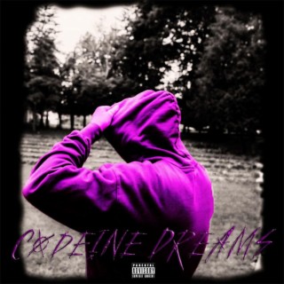 Codeine Dreams lyrics | Boomplay Music