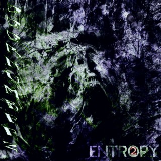 Entropy 2