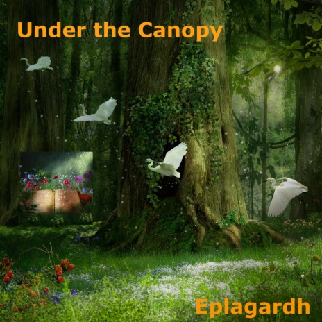 Under the Canopy | Boomplay Music