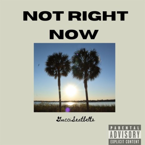 Not Right Now | Boomplay Music