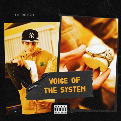 Voice Of The System | Boomplay Music