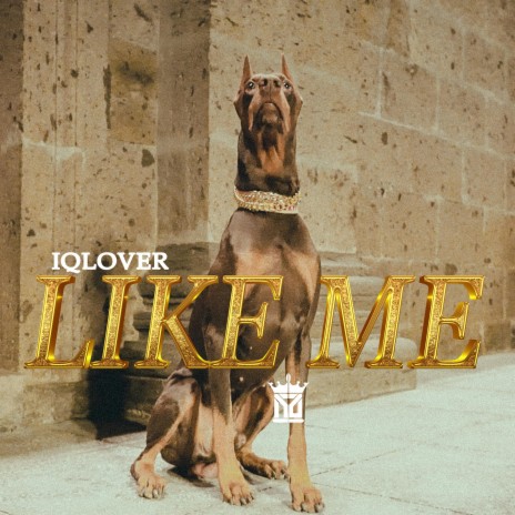 Like Me | Boomplay Music