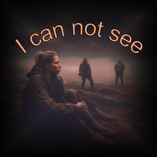 I cannot see