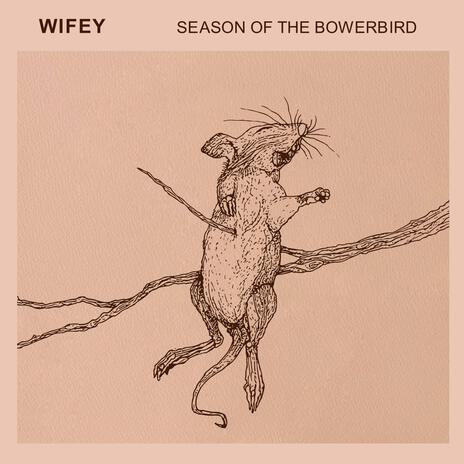 Season of the Bowerbird