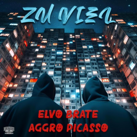 Zu Viel ft. Aggro Picasso | Boomplay Music